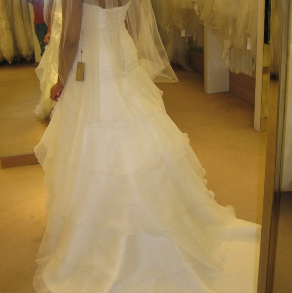Demetrios Wedding Dress - Picture 5 of 12